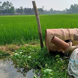 ডিজেল সংকটে বোরো উৎপাদনে বড় শঙ্কা সিরাজগঞ্জে