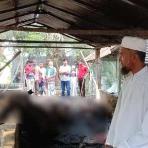 আগুনে পুড়ে ছাই মসজিদের ইমামের স্বপ্নের খামার
