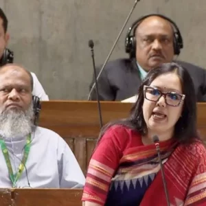 আমাকে মনোনয়ন না দেওয়ায় বিএনপিকে ধন্যবাদ: রুমিন ফারহানা