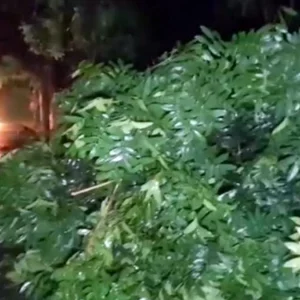 চুয়াডাঙ্গায় কালবৈশাখীর তাণ্ডব, তিনতলা থেকে পড়ে বৃদ্ধের মৃত্যু