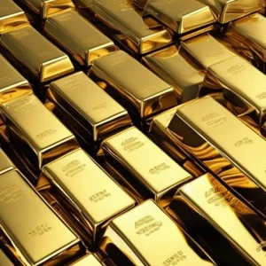 যুক্তরাষ্ট্র থেকে সব স্বর্ণ সরিয়ে নিল ফ্রান্স