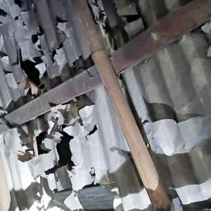 ফুলবাড়ীতে শিলাবৃষ্টিতে ফসলের ব্যাপক ক্ষতি, ফুটো হয়ে গেছে টিন