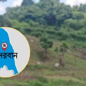 মিয়ানমার সীমান্তবর্তী এলাকায় বিপুল বিস্ফোরক উদ্ধার