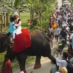 হাতির পিঠে বর, ঘোড়ার গাড়িতে কনে—জয়পুরহাটে ব্যতিক্রমী বিয়ে ঘিরে জনতার ঢল