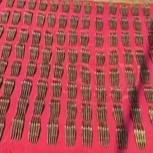 বিজিবি দেখে পালালেন চার ব্যক্তি, ফেলে যাওয়া ব্যাগে মিলল ১৪০০ গুলি