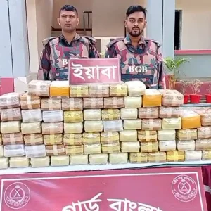 মিয়ানমার থেকে পাচারকালে সাড়ে ৮ লাখ পিস ইয়াবা উদ্ধার