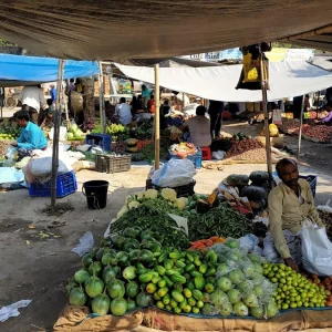 হাজীগঞ্জ ও শাহরাস্তির ৪৫ বাজারে বন্ধ হচ্ছে খাজনা আদায় 