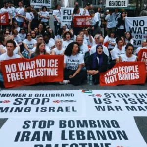 ইসরায়েলকে অস্ত্র বিক্রির প্রতিবাদে নিউ ইয়র্কে বিক্ষোভ, গ্রেপ্তার শতাধিক