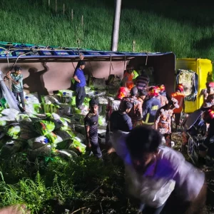 কুমিল্লার দাউদকান্দিতে ট্রাক খাদে পড়ে নিহত ৭