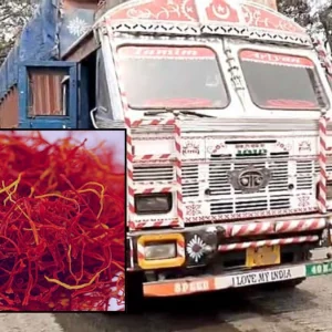 ‘রেড গ্রাস’ বলে ভারত থেকে এলো ৮ কোটি টাকার জাফরান