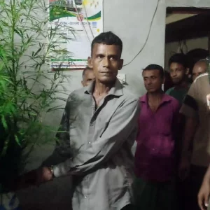 বাড়ির আঙিনায় ‘সবজি’ নয়, গাঁজা চাষ করতেন জামাল বেপারী