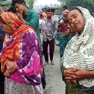 নীলফামারীতে ট্রাকচাপায় দুই ভাই নিহত, আহত ৩