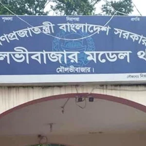 শ্রীমঙ্গলে ছেলের ছুরিকাঘাতে বাবার মৃত্যু