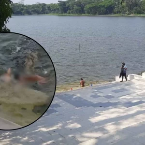 কুকুরটিকে ইচ্ছাকৃতভাবে কুমিরের মুখে দেওয়া হয়নি, ছিল জলাতঙ্কে আক্রান্ত: তদন্ত কমিটি