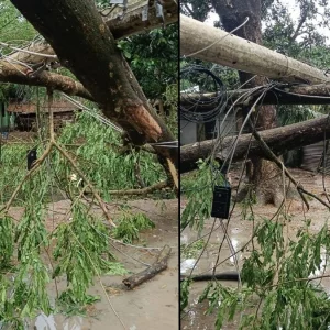 যশোরে হঠাৎ ঝড়ে লন্ডভন্ড বিভিন্ন গ্রাম, কৃষক নিহত 