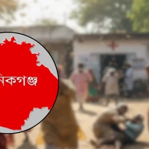 ব্যস্ত সড়কে হঠাৎ ভিমরুলের আক্রমণ, নারীসহ আহত ৮