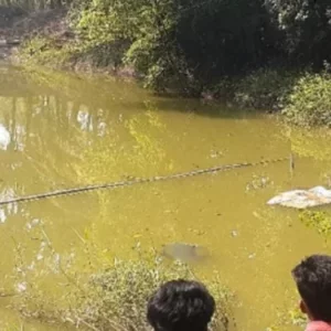 ভরদুপুরে দুই ভাইয়ের মরদেহ ভেসে উঠলো পুকুরে