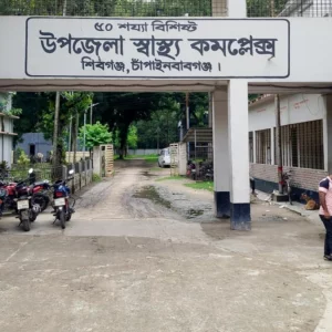 চাঁপাইনবাবগঞ্জে ভিমরুলের কামড়ে বৃদ্ধের মৃত্যু, আহত ১০