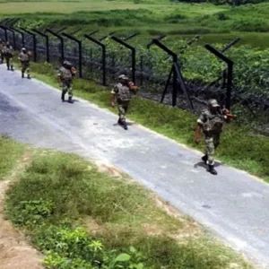 মহেশপুর সীমান্তে তিন বাংলাদেশিকে আটক করেছে বিএসএফ