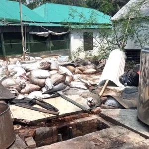 সিরাজগঞ্জে বায়োগ্যাস প্লান্ট বিস্ফোরণে দগ্ধ ২ শ্রমিকের মৃত্যু