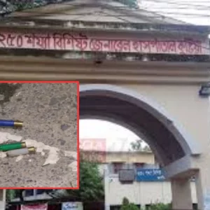 দুর্বৃত্তদের গুলিতে স্বেচ্ছাসেবক দলনেতাসহ আহত ১০