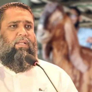 হাইকোর্টে জামিন পেলেন ছাগলকাণ্ডে আলোচিত সাদিক অ্যাগ্রোর ইমরান