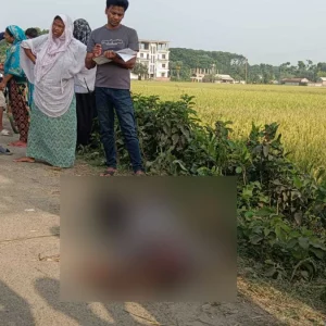 বেনাপোলে ধানক্ষেত থেকে অজ্ঞাত ব্যক্তির মরদেহ উদ্ধার