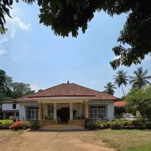 ভারতে মার্কিন নারী পর্যটককে ধর্ষণ