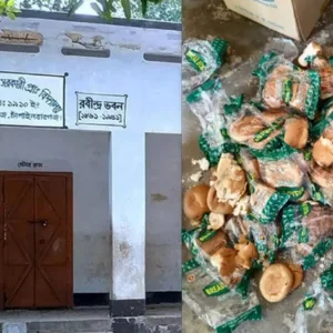 স্কুল ফিডিং প্রকল্পের খাবার খেয়ে ৫ শিক্ষার্থী অসুস্থ