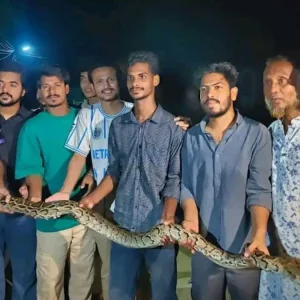 চট্টগ্রাম বিশ্ববিদ্যালয়ে ৮ ফুট লম্বা অজগর সাপ উদ্ধার