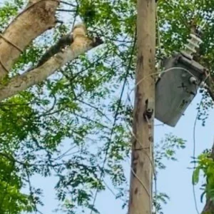 ট্রান্সফরমার চুরি করতে গিয়ে বিদুৎস্পৃষ্টে যুবকের মৃত্যু