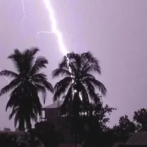নেত্রকোনায় বজ্রপাতে তিনজনের মৃত্যু