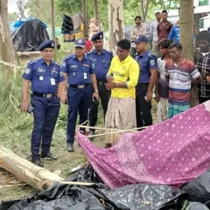 নওগাঁয় কালবৈশাখী ঝড়ে গাছ ভেঙে পড়ে অন্তঃসত্ত্বা নারীর মৃত্যু