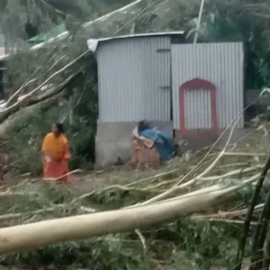 সিরাজগঞ্জে ঝড়ে ভেঙে পড়লো গাছ, গৃহবধূর মৃত্যু