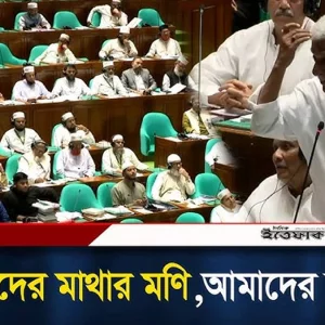 ৭১ আমাদের মাথার মণি, আমাদের স্বাধীনতা: সংসদে জয়নুল আবদিন ফারুক