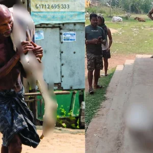 ‘যার অ্যাকাউন্ট তাকে নিয়ে আসুন’: টাকা তুলতে বোনের কঙ্কাল কাঁধে ব্যাঙ্কে হাজির ভাই