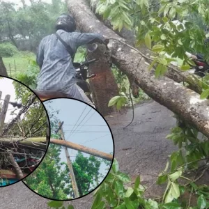 ঝড়ে লন্ডভন্ড কুমিল্লা, বিকল ৩৫ ট্রান্সফরমার