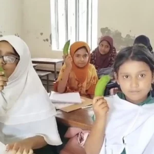 স্কুল ফিডিংয়ে কাঁচা কলা বিতরণ, শিক্ষিকা সাময়িক বরখাস্ত