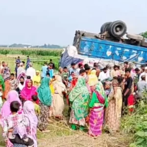 সড়ক থেকে ট্রাক উল্টে পড়লো ক্ষেতে, কৃষক নিহত