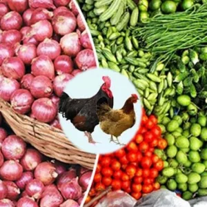 সপ্তাহের ব্যবধানে কমেছে সবজি-মুরগির দাম