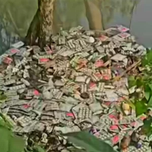 জামালপুরে ডোবায় ভাসছে বিপুল পরিমাণ সরকারি ওষুধ