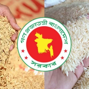 হাওরের কৃষকদের রক্ষায় বিশেষ উদ্যোগ: ধান-চাল সংগ্রহ শুরু হচ্ছে ৩ মে
