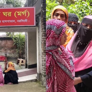 নরসিংদীতে ছোট ভাইয়ের হাতে বড় ভাই খুন, আটক দুই