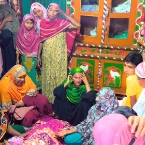 হাট থেকে ভাড়া করা শ্রমিকের হাতে প্রাণ গেল বৃদ্ধার