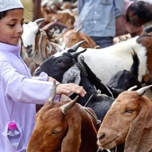 কী পরিমাণ সম্পদের মালিক হলে কোরবানি ওয়াজিব