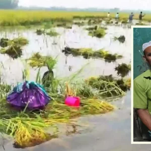 হাওড়ে ধান তলিয়ে যাওয়ার শোক সইতে না পেরে কৃষকের মৃত্যু