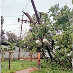 মিরসরাইতে কালবৈশাখীর তাণ্ডব, একদিন ধরে বিদ্যুৎহীন শত শত গ্রাহক