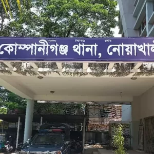 মাঠ থেকে গরু আনতে গিয়ে বজ্রপাতে গৃহবধূর মৃত্যু  