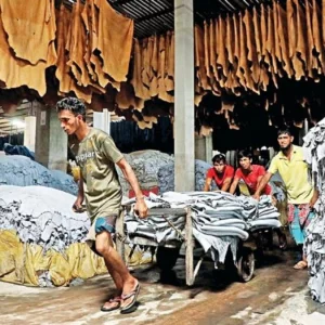 বর্জ্য পরিশোধনাগারের অভাবে চামড়া রপ্তানিতে ধস