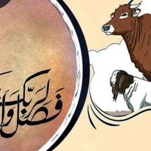 পশুর যেসব দোষ থাকলে কোরবানি শুদ্ধ হবে না